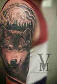 Wolf tattoo boy's arm on wolf head tattoo pattern