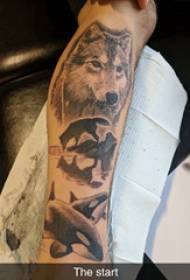 بھیڑیا سر اور وہیل ٹیٹو تصویر پر بیلی جانوروں کے ٹیٹو مرد طلباء کا بازو