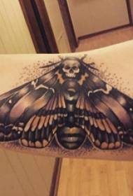 Small animal tattoo girl armpit and moth tattoo picture