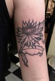 krahu i vajzës së tatuazhit të krahut mbi fotografinë e tatuazhit të lulediellit të zi