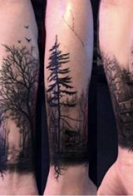 Tatuaje de brazo, brazo masculino, edificio e tatuaxe de árbore grande