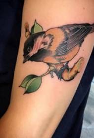Bird tattoo pattern girl bird tattoo pattern on arm