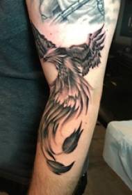 Siyah Anka kuşu dövme resmi dövme Anka kuşu erkek öğrenci kolunda