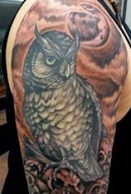 Ang tattoo sa Owl boy sa bukton nga Owl totem nga litrato sa tattoo