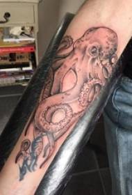 Crna tetovaža hobotnice crna tetovaža hobotnice na ruku djevojke