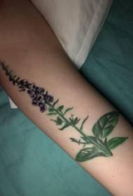 Tatuaż wzór ramienia dziewczyny kwiat mały świeży wzór tatuaż obraz tatuaż