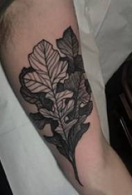 Arm tattoo material, male arm, black leaf tattoo picture