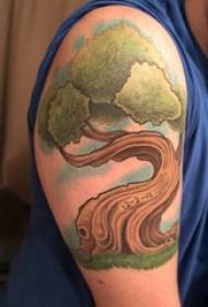 Tetování větvičky chlapce paže na barevné dvojice obrázků větvičky tetování