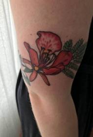 זרוע של ילדה דפוס קעקוע פרח על תמונת קעקוע פרח צבעונית