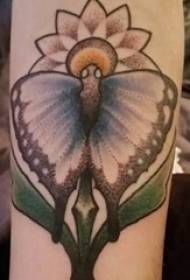 Motyl kwiat tatuaż wzór dziewczyna ramię na motyle kwiat tatuaż wzór