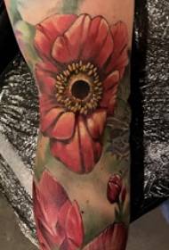 Ziedu tetovējuma puiša roka uz krāsainu ziedu tetovējuma attēla