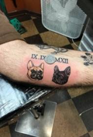 Arm tattoo material, male dog, may kulay na tuta, larawan ng tattoo