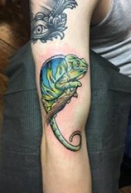 Animalia txikien tatuaje gizonezkoen besoa zuhaitz adarrean eta kamaleoi tatuaje irudian