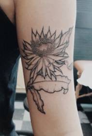 Arm tattoo material girl's arm on black blue star flower tattoo picture