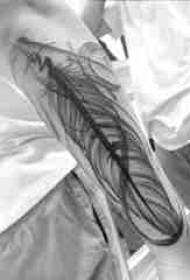 Amintaccen tattoo tattoo, feather feather, black feather feather tattoo hoto