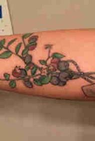 Kasvien tatuointi, pojan käsivarsi, pieni tuoreiden kasvien tatuointikuva