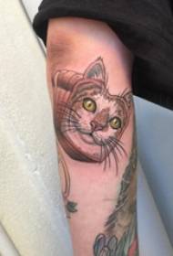 Cat tattoo male boy arms on colored cat tattoo picture
