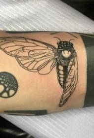 小動物紋身男學生手臂上黑色昆蟲紋身圖片