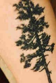 काळ्या झाडाच्या टॅटूच्या चित्रावर टॅटू मुलाचा हात लावा