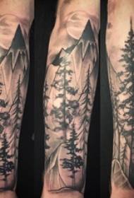 Hill peak tattoo boy arm on tree tattoo picture