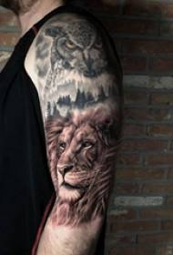 Arm tattookuva poika käsivarsi pöllö ja leijona tatuointi kuva