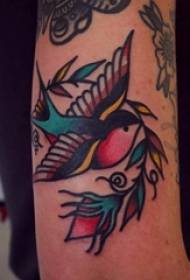 Tattoo bird, boy's arm, leaves and bird tattoo pictures