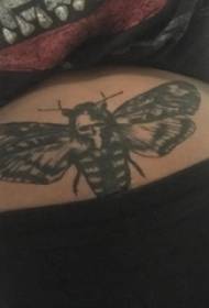 Butterfly εικόνα τατουάζ πεταλούδα κορίτσι πεταλούδα τατουάζ