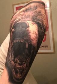Bear tattoo boy's arm on bear tattoo animal picture