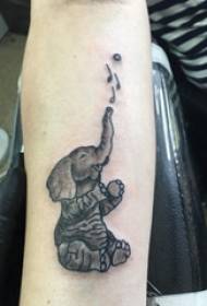 Baile animal tattoo male student arm on black elephant tattoo picture