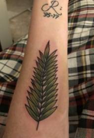 Plant tattoo boy's arm on colored leaves tattoo picture