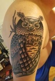 I-tattoo yesilo sengalo yomfundi wesilisa esithombeni se-owl totem tattoo