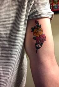 Literary flower tattoo, girl's arm, colored tattoo, flower tattoo picture