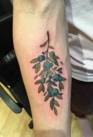 एक छोटे ताजे पौधे के टैटू चित्र पर टैटू लड़की की बांह
