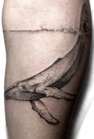 Tatuiruotės banginio patino nuotrauka ant studento tatuiruotės banginio