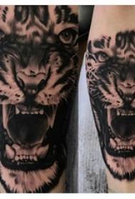 Тигер тотем тетоважа мушки студент на узорку тетовирања главе тигрова