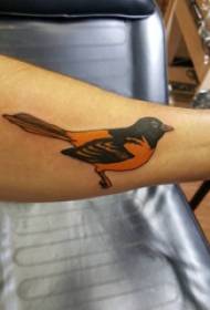 ציפור קעקוע, זרוע של ילד, תמונת קעקוע צבעונית בציפור