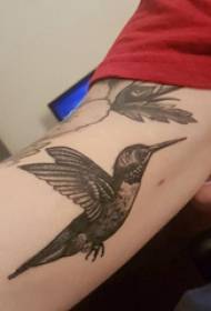 Arm tattoo picture boy's arm on black hummingbird tattoo picture