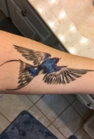 彩繪的紋身，男孩的手臂，彩色的鳥紋身圖片
