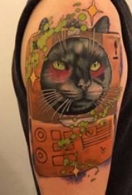 Kitten tattoo boy's arm on cat tattoo picture