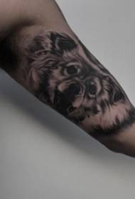 Tattoo sting tricks male arm on black wolf tattoo pictures