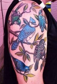 Fågel tatuering flicka fågel på fågel tatuering djur bild
