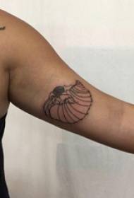 Shell pattern tattoo မိန်းကလေးလက်မောင်းသည်အနက်ရောင် tattoo ရုပ်ပုံပေါ်တွင်