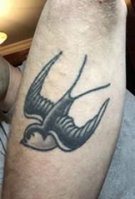 Arm tattoo material boy's arm on black swallow tattoo picture