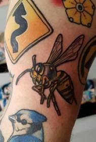 Brazo estudante de tatuaxe de animal de bóla masculino en cadros de tatuaxe de abella de cores