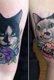 Cat tattoo simple boy arm kitten tattoo picture