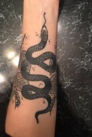 Tattoo animal boy's arm on leaf and snake tattoo picture