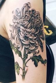 Black gray chrysanthemum tattoo girl black gray chrysanthemum tattoo picture on girl arm