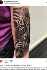 Tiger τοτέμ τατουάζ αρσενικό τοτέμ tiger τοτέμ εικόνα τατουάζ