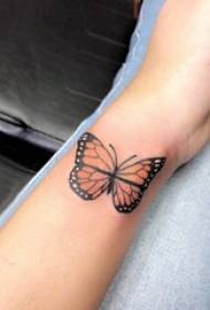 Baile animal tattoo girl butterfly on colored butterfly tattoo picture