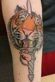 Tiger totem tattoo male student arm on Europe and America dagger tattoo picture